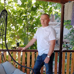 ����, 46 ���, ���������