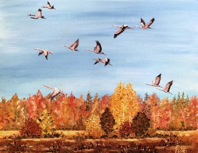   ,  ...   ,   ,   ...