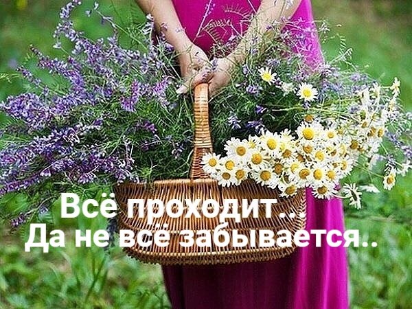   - 27  2024  13:48