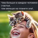 ���� ����, �����������, 52 ���� - ��������� 30 ������ 2023 � ������ ���� ����������