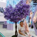 ���� �����, �������-����� - ��������� 9 ���� 2024 � ������ ���� ����������