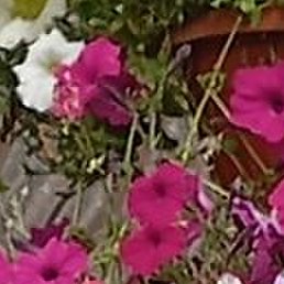 �����, ����, 60 ���