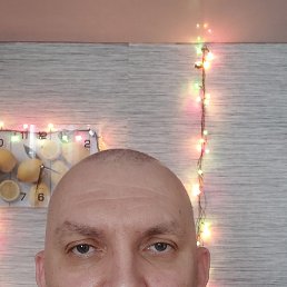 ����, 46 ���, ���������