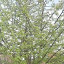 ���� �������, ��������� - ��������� 18 ��� 2025 � ������ ������ ��������