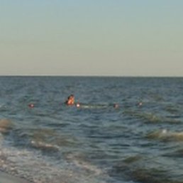 ���, ������, 39 ���