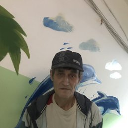 , 61, 