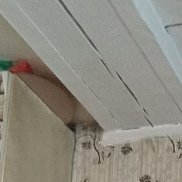 ������, 52 ����, ������