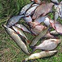 ���� �����, ��������� - ��������� 6 ������ 2024 � ������ ���� ����������