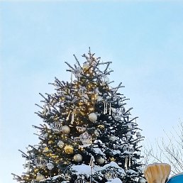 ������, ������, 54 ����