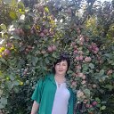 ���� �����(������ �� ���), ������������ - ��������� 4 ������� 2025 � ������ ���� ����������