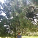 ���� �����, ������, 62 ���� - ��������� 19 ��� 2024 � ������ ���� ����������