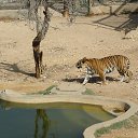 ���� ������, ������, 63 ���� - ��������� 10 ������ 2024 � ������ ���� ����������