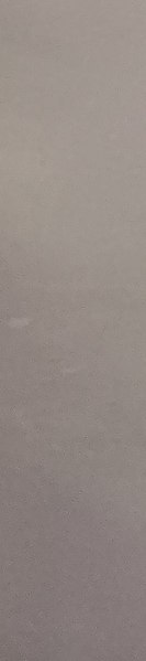 ����, 41 ���, ������