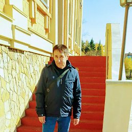 , 65, 