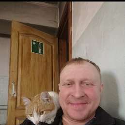 ���� �������, �����������, 43 ���� - ��������� 10 ������� 2026