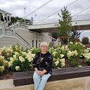 ���� �����, ��������, 56 ��� - ��������� 25 ������� 2026 � ������ ���� ����������