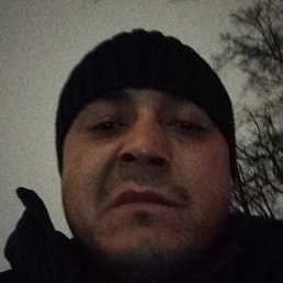 �����, ������, 37 ���