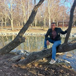 �������, ����-���������, 46 ���