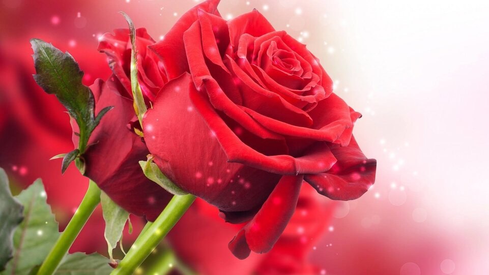 �� ! ����� ����� �������� �� ���������� ! ������ �����������, � ���� ������� ... ! ������ ! ��� ��� ...