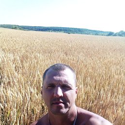 �������, 44 ����, ������