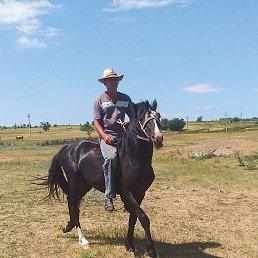 ������, ������, 49 ���