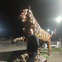 ���� �����, ����, 41 ��� - ��������� 15 ������� 2024 � ������ ���� ����������