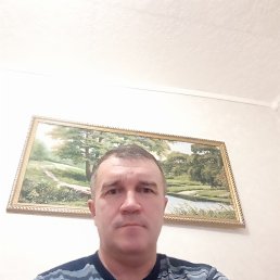 , 49 , 