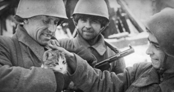 *** РЫЖИК... (История о котёнке-зенитчике, рассказ основан на реальных событиях) Шёл третий день ...