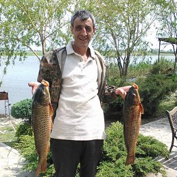 Gena, 57 ���, ������-��-����