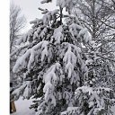 ���� ����, ������, 51 ��� - ��������� 6 ���� 2025 � ������ ���� ����������
