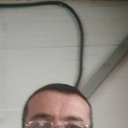 ���� �������, �����������, 48 ��� - ��������� 23 ����� 2024