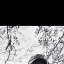 ���� �������, �����, 33 ���� - ��������� 4 ������ 2026 � ������ ���� ����������