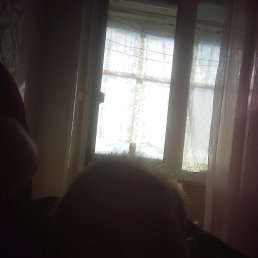 ���� ��������, �����, 42 ���� - ��������� 3 ���� 2025