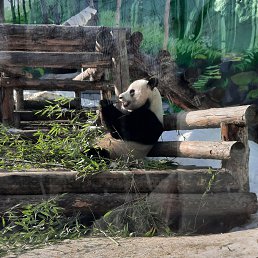 ���� �������, ������������ - ��������� 13 ������� 2026