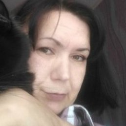 �����, �������