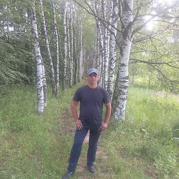 ������ ������, ������ ��������, 41 ���