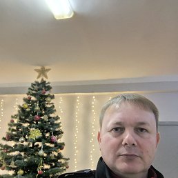 ���� �������, ���������, 49 ��� - ��������� 15 ������ 2026