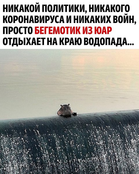     !