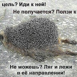 ������, ������, 53 ����