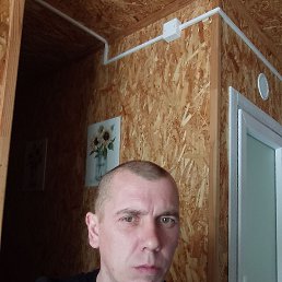 �����, 41 ���, ������