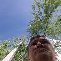 ******, 43 , 