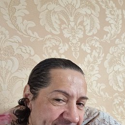 ������, ����������, 51 ���