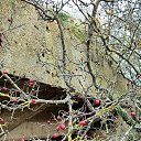 ���� ������, ������������, 55 ��� - ��������� 24 ������ 2026 � ������ ������ ��������