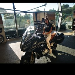 Alpha, �����, 31 ���