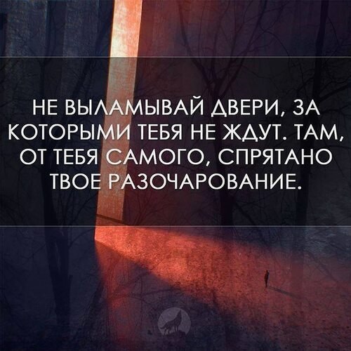 =Fox= - 14  2025  16:02