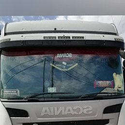 ������, ������, 46 ���