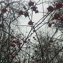 ���� S, ������, 67 ��� - ��������� 14 ������� 2024 � ������ ���� ����������