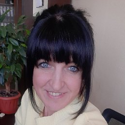 ����, �����-���������, 43 ����