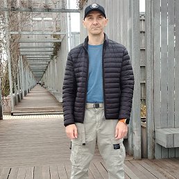 ����, 38 ���, ���������