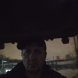 ����, 42 ����, �����